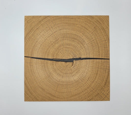 Legno di cervello