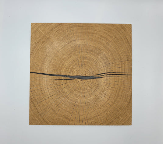 Legno di cervello