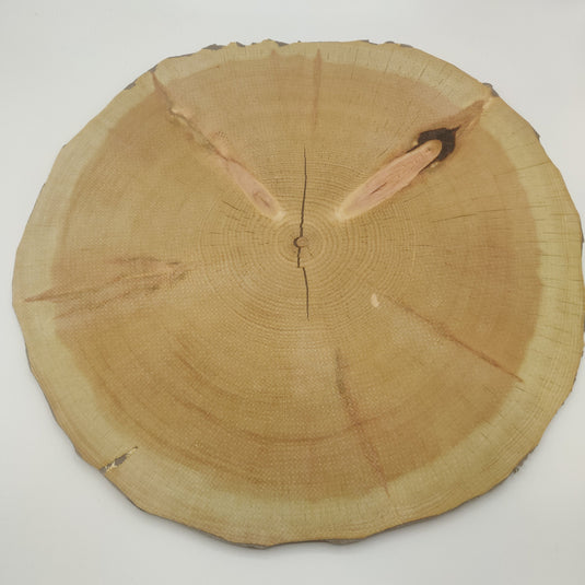 Legno di cervello